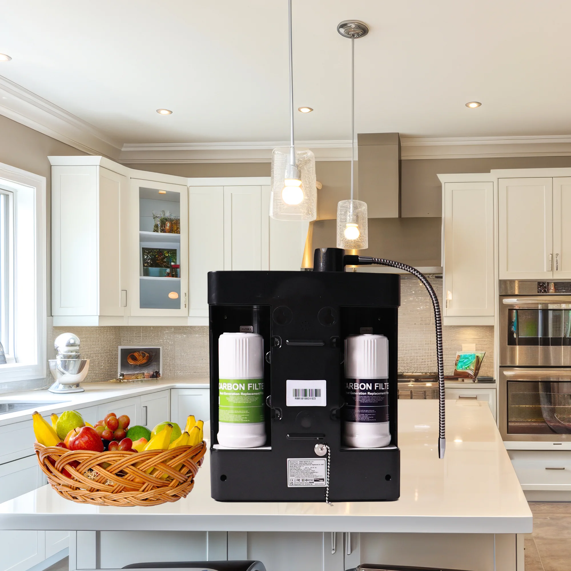 Alkaline Water Ionizer – 13 Plate Model2